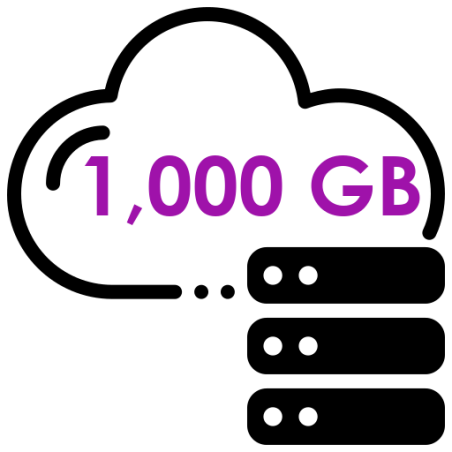 1000GB NZ Cloud Storage