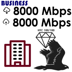 Ultrafast Fibre Broadband - from 300 Mbps to 8,000 Mbps