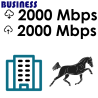 Ultrafast Fibre Broadband - from 300 Mbps to 8,000 Mbps