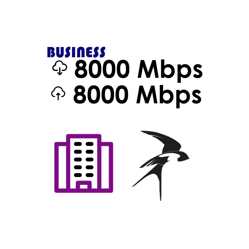 Ultrafast Fibre Broadband - from 300 Mbps to 8,000 Mbps