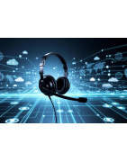 Conferencing and Voice over IP Services